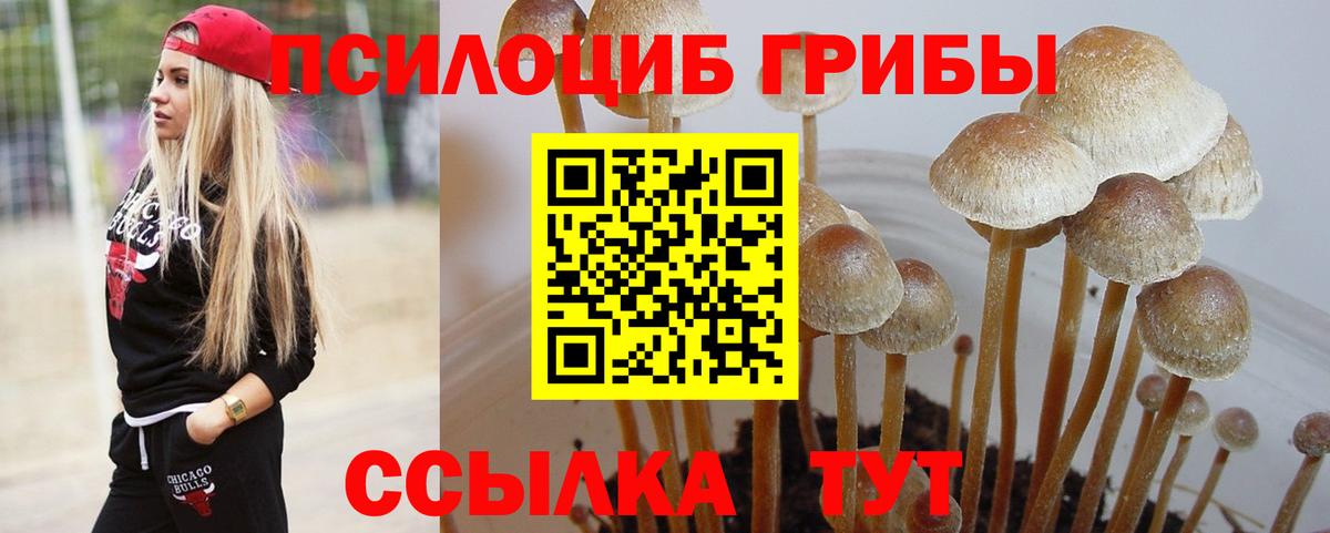 Минусинск  Галлюциногенные грибы Psilocybe  Вход с VPN 